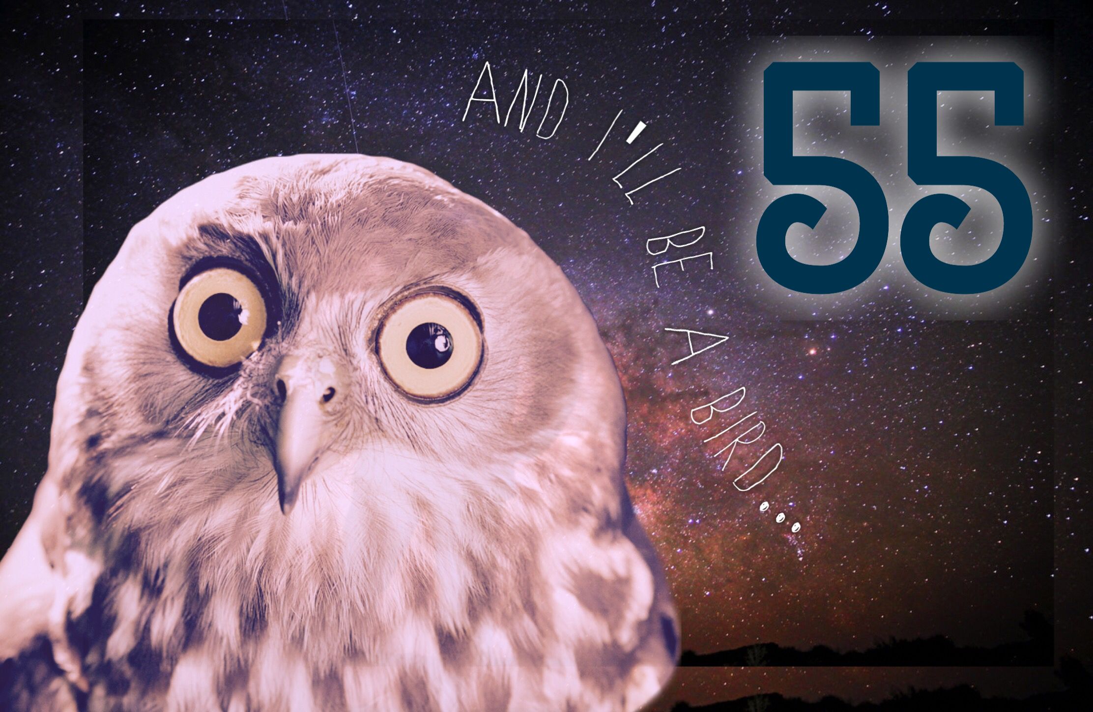 55