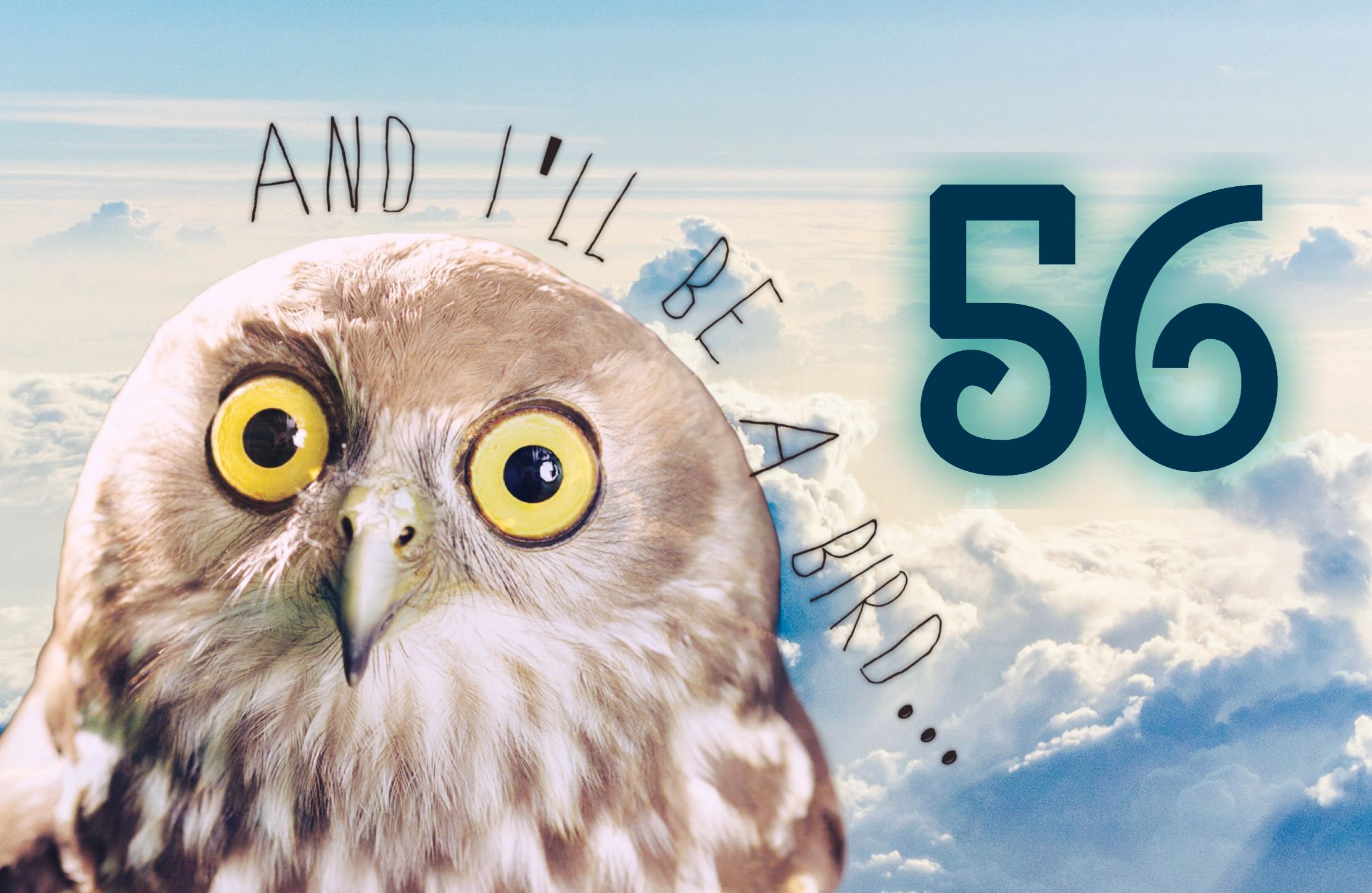 56