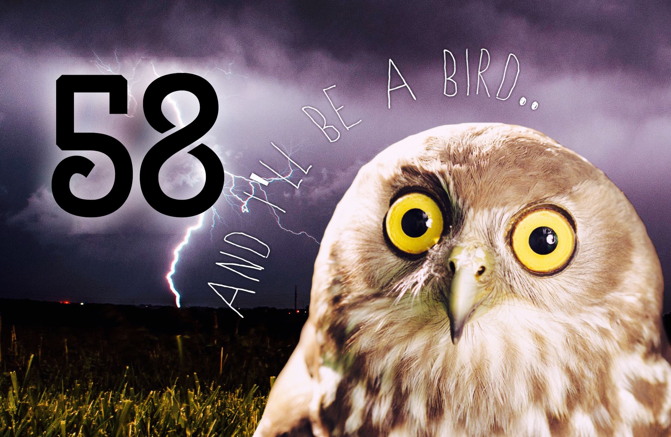58