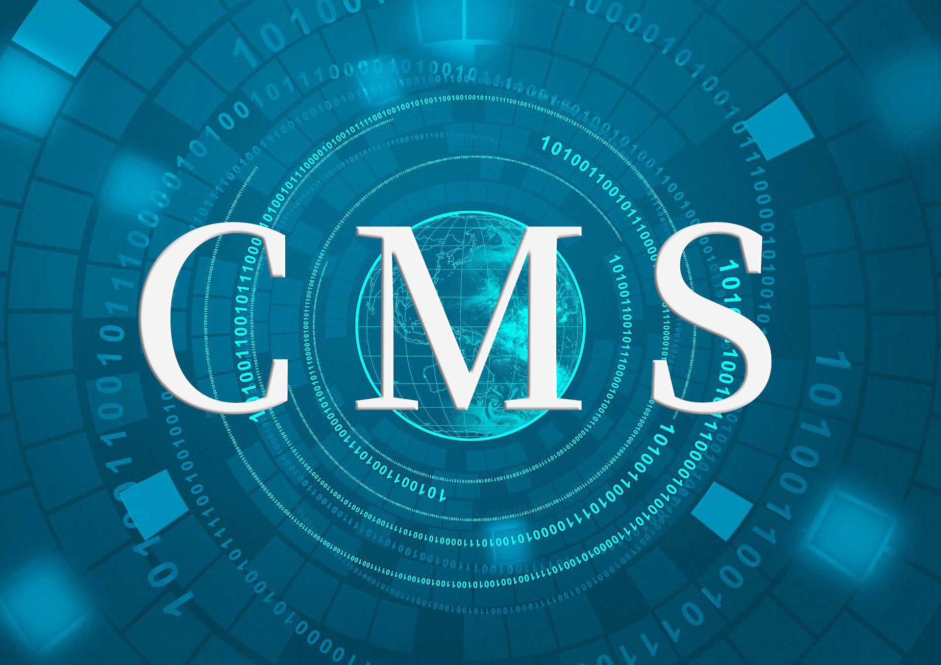 CMS画像